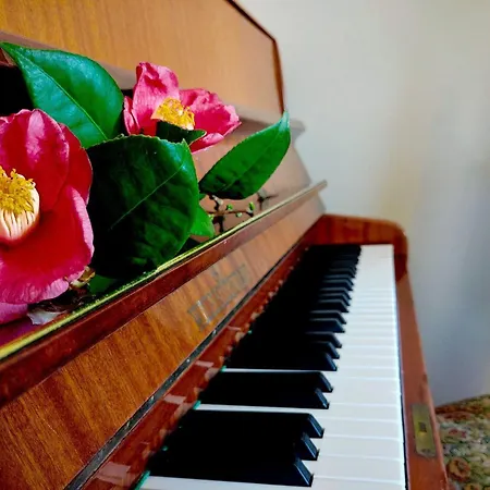 דירה Travanto Pianoforte Panorama